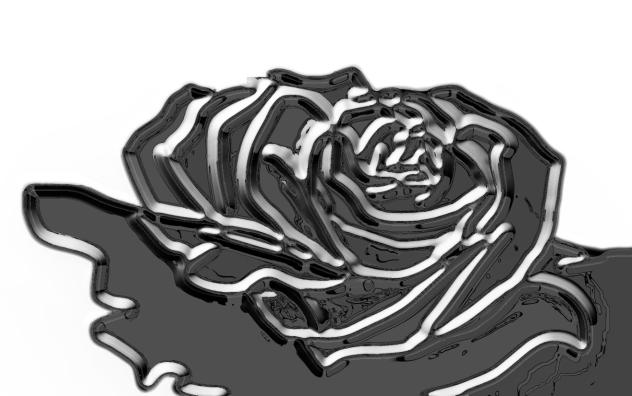 薔薇