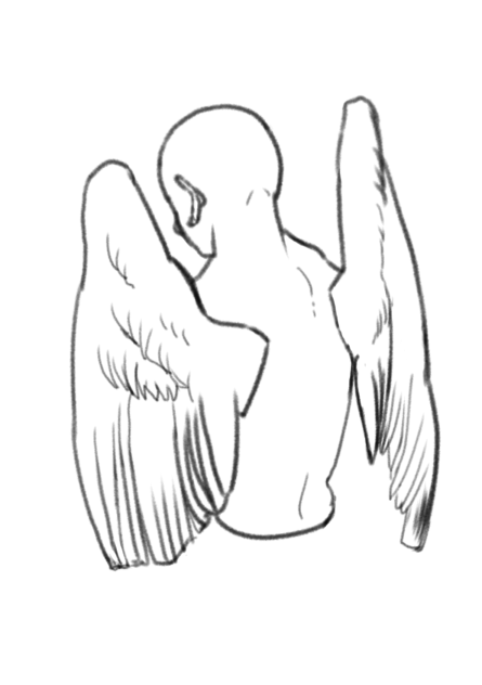 kind draw study 3.21 1825