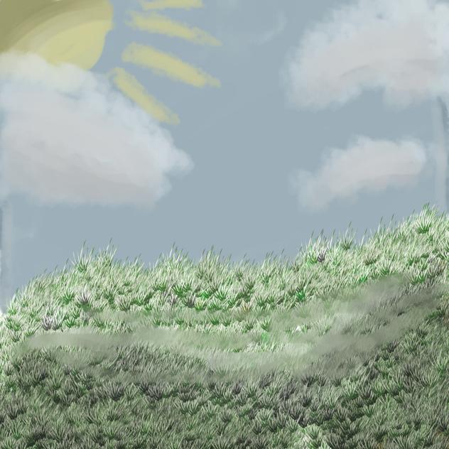 Grassy hill