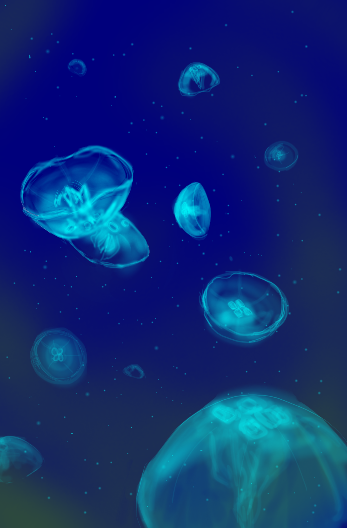 jellyfish - ibisPaint