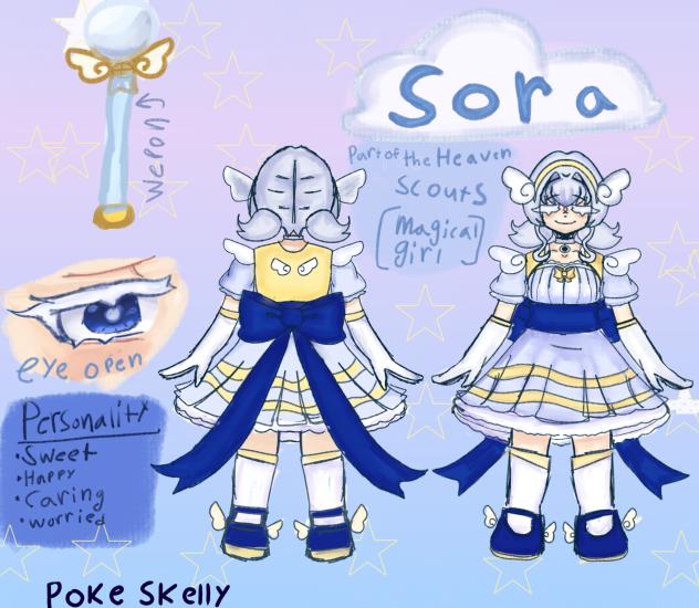Sora body sheet