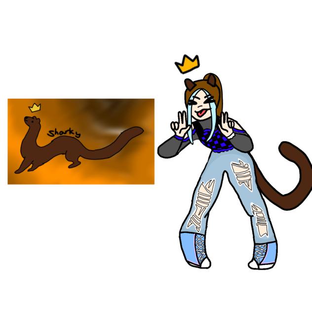 Ferret