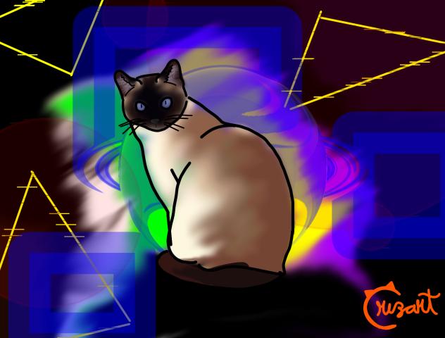 Kitty , gatito emocho pechocho