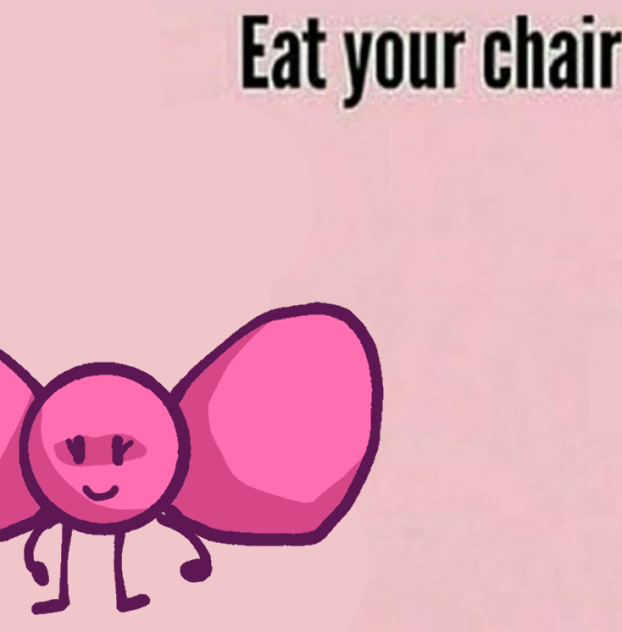 Eat your Chair