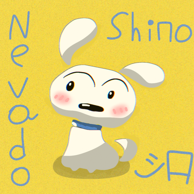 Nevado Shiro 1992