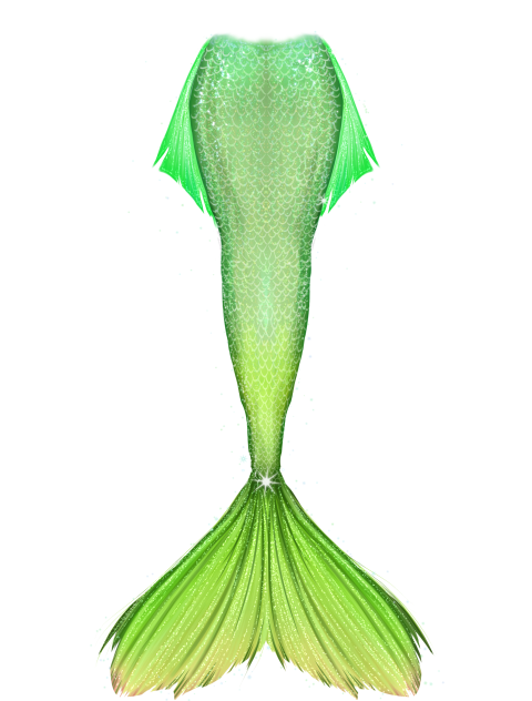 mermaid tail5