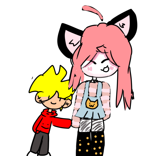 I b i s  f a m i l y