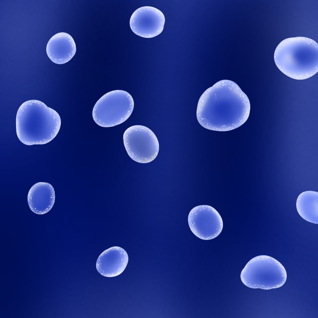 jellyfish