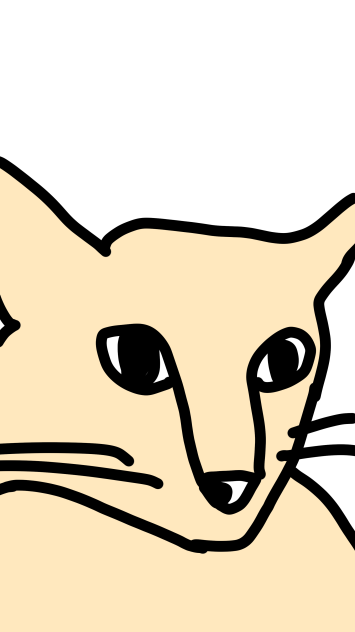 My cat OMG!
