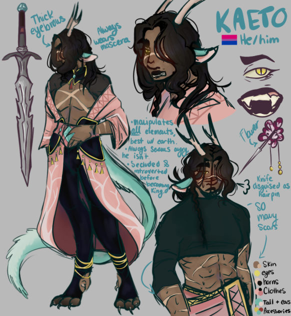 Kaeto ref sheet - ibisPaint
