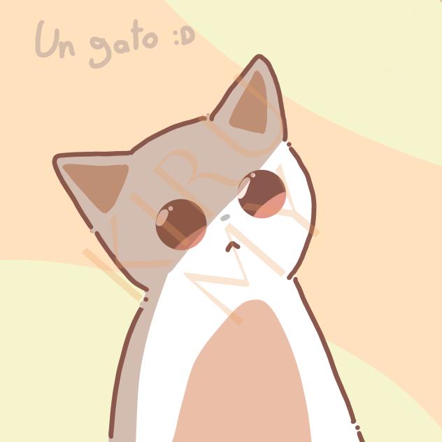 Un gato 5vytjtfbf rbfrfhrosa vjyjuj