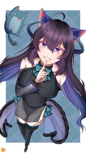 黑銫卯貓