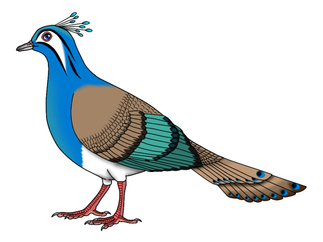 Princess Margarette's Peacock-dove m