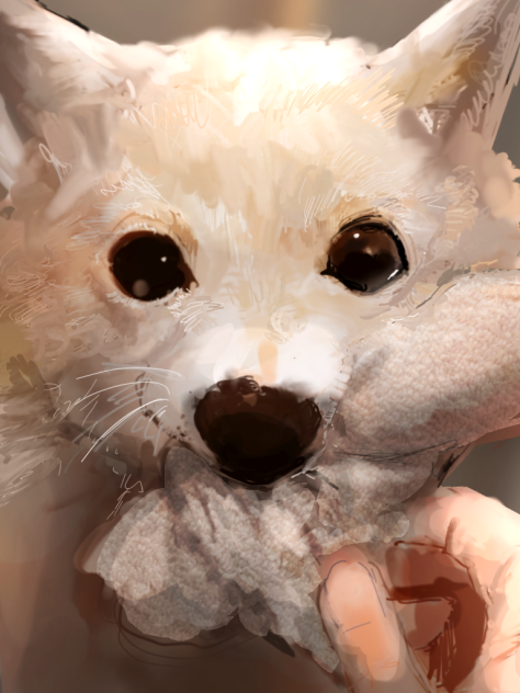 わふッ？