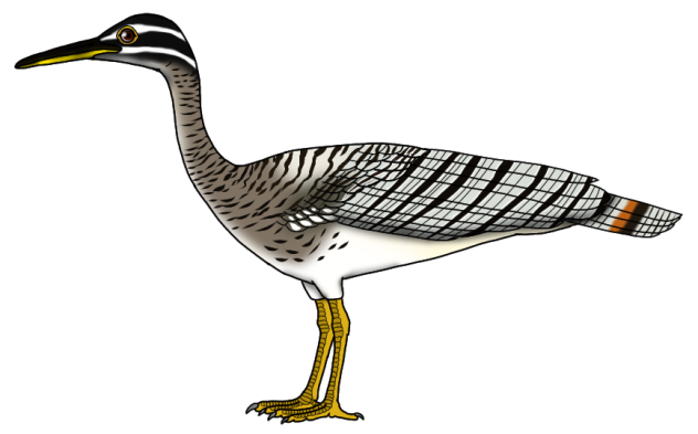 Sunbittern re-trim render