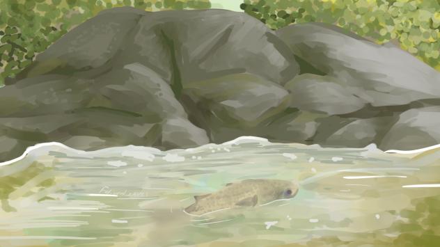 Background practice