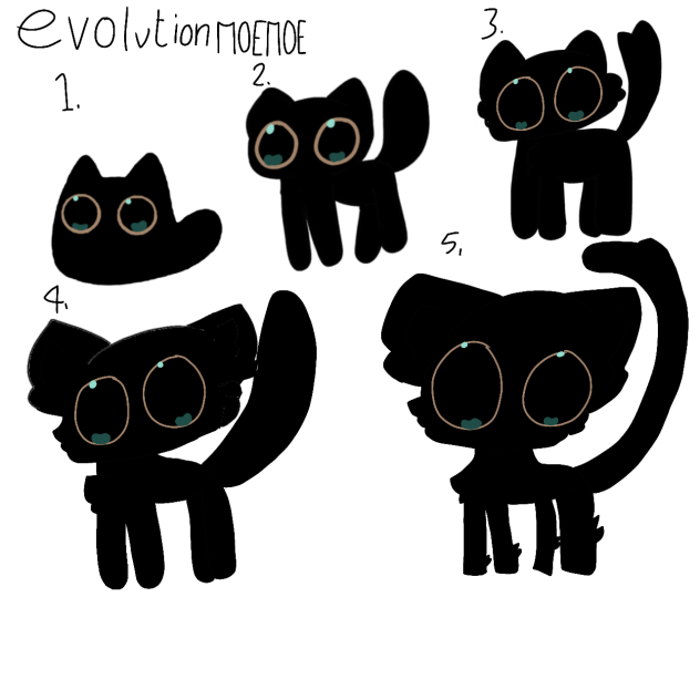 evolation moe moe