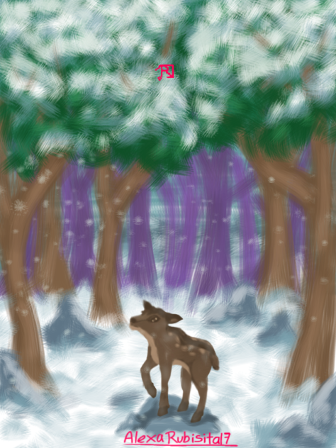 deer in the forest