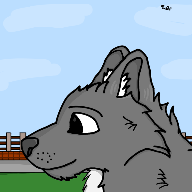 Practice wuwf [14-9-22]