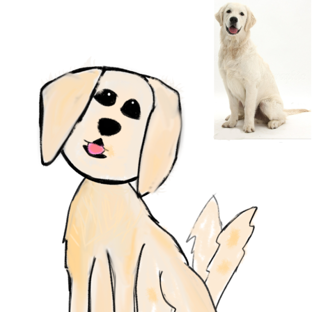 Doge