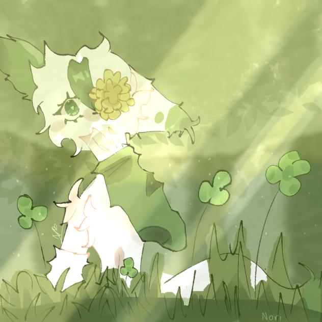 Nori
