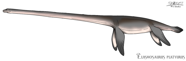 Elasmosaurus platyurus