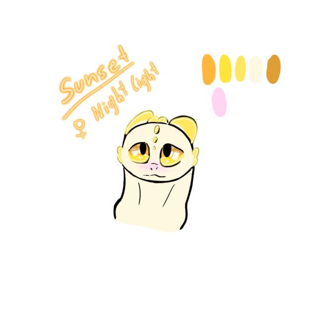 (Toothless)Sunset
