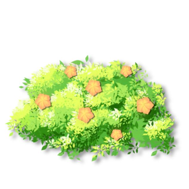 Hedge plant with flower Orange
