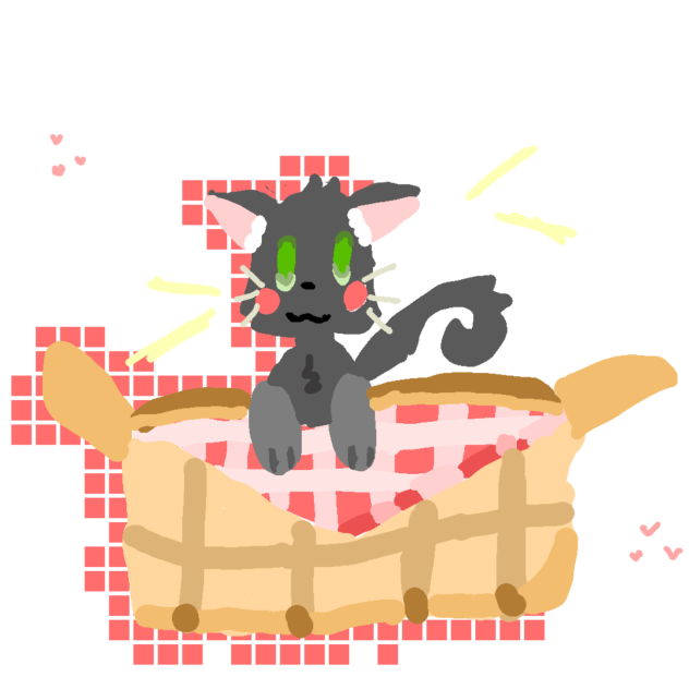 cute cat
