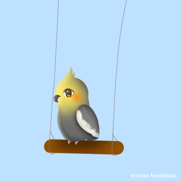 Cockatiel 🦜