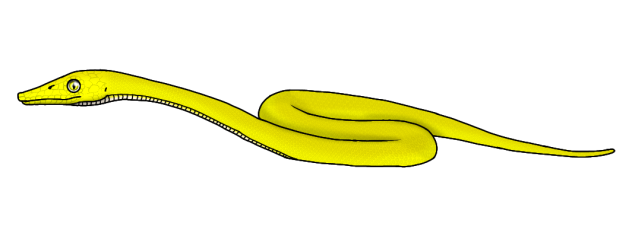 Yellow Nectar Snake render