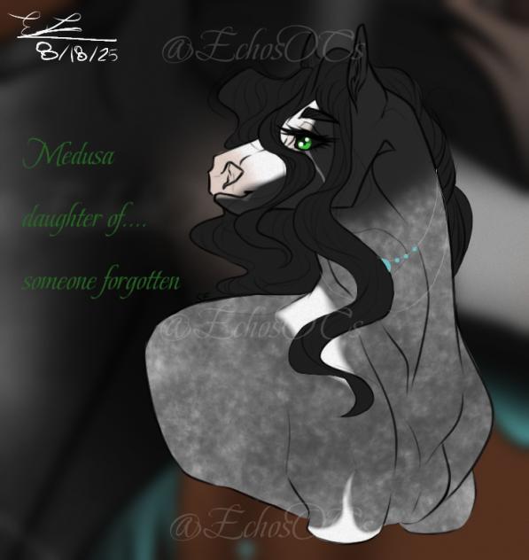 ~ Medusa simple art ~