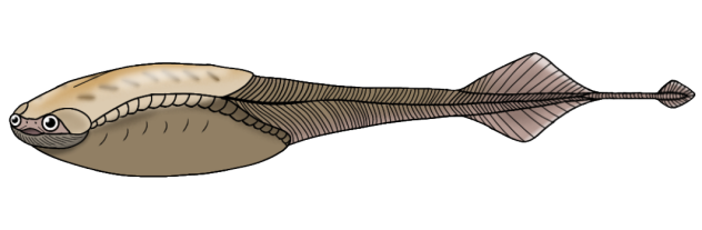 Sacabambaspis janvieri render