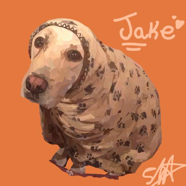 R.i.p Jack you will be missed…