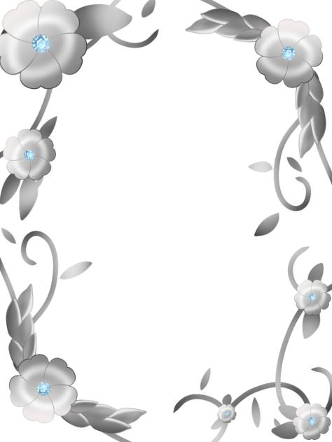 宝石花枠