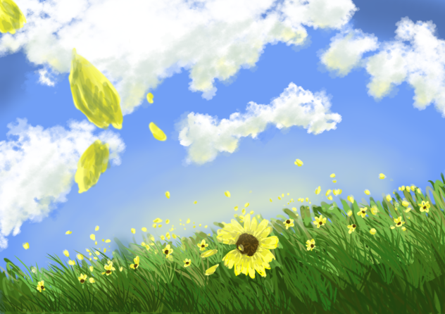 🌻Sunflower field 🌻^O^