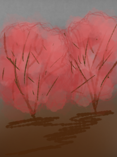 random - ibisPaint