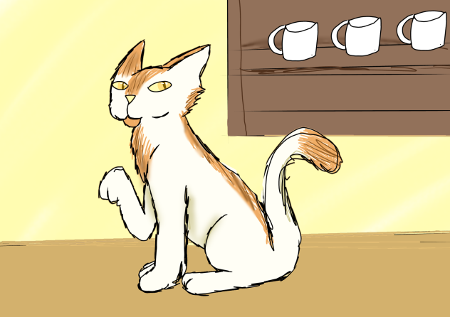 Cat