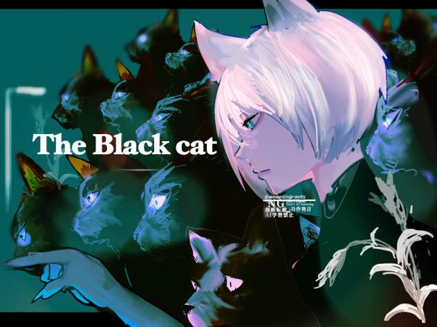 The black cat