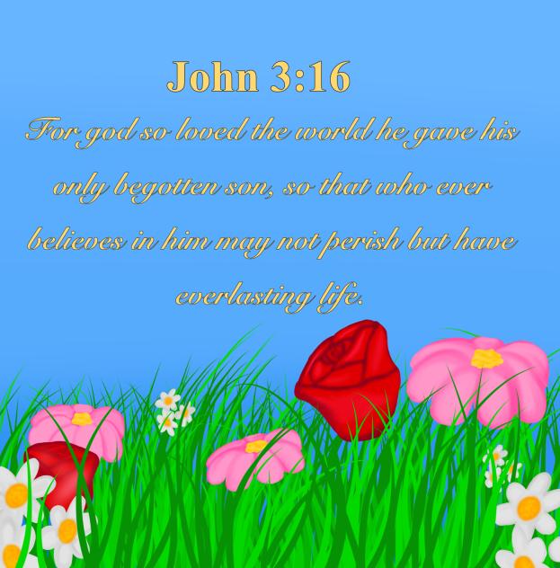 John 3 16