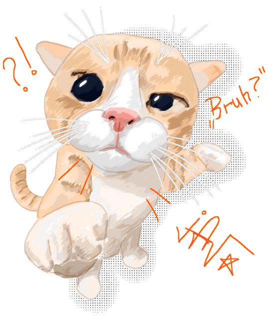Bruh🙀 kitty😽