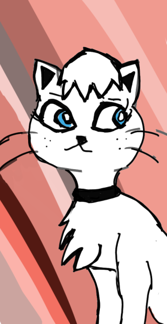 gay purri