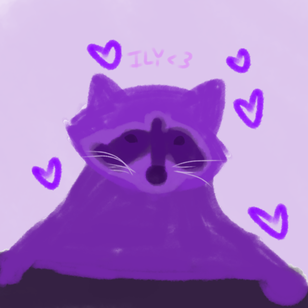 Raccoon for partner