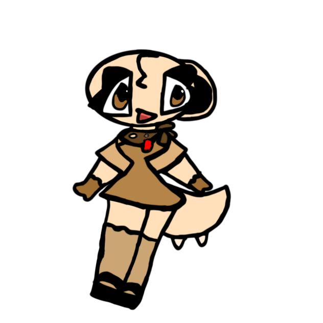 shelly redesign
