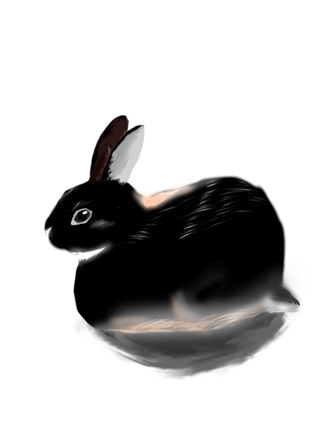 咲黒