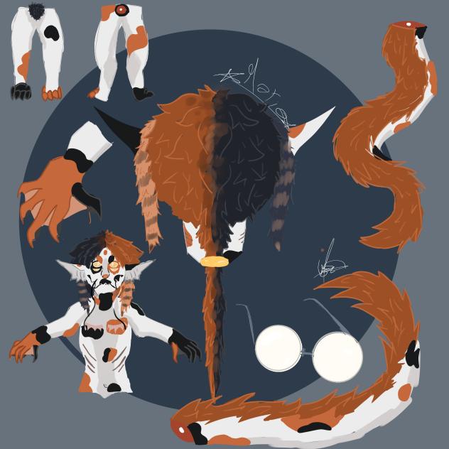 details of my oc