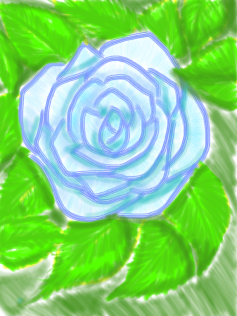 blue rose blue night
