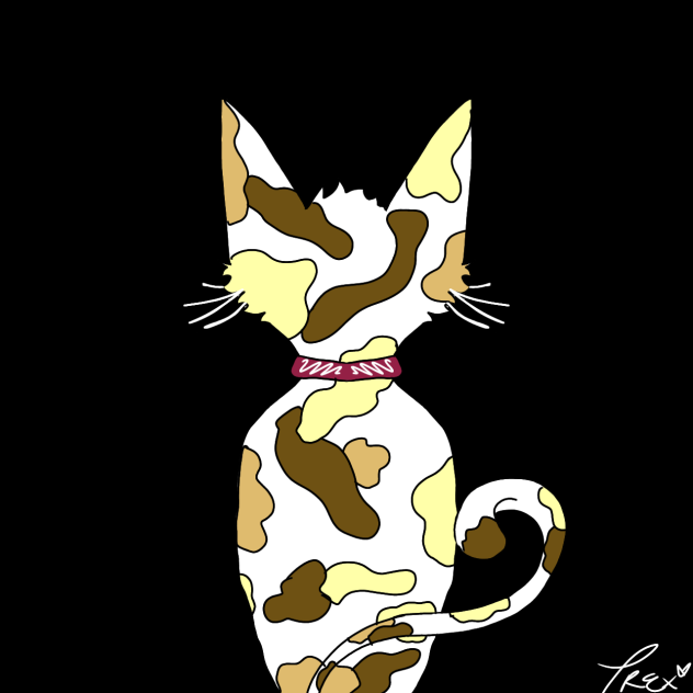 Calico Cat