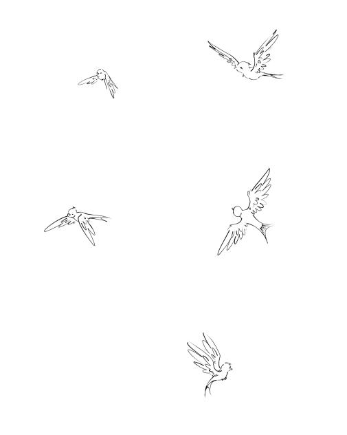 little birds