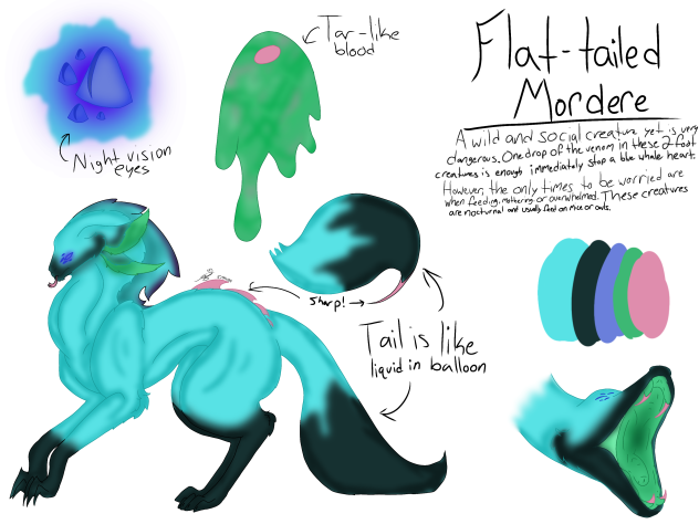 Flat-Tailed Mordere